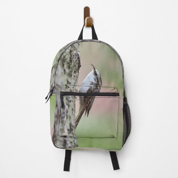 Item preview, Closer meeting. Eurasian treecreeper designed and sold by Jouko Lehto Photography.