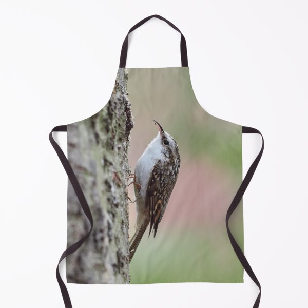 Item preview, Closer meeting. Eurasian treecreeper designed and sold by Jouko Lehto Photography.