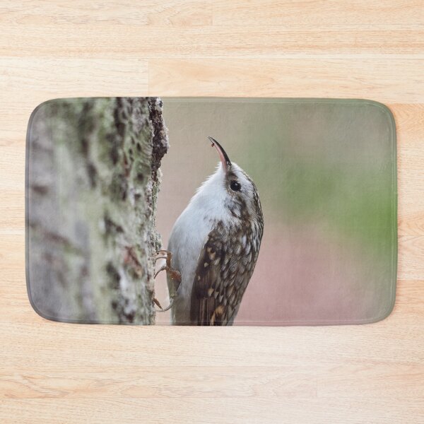 Item preview, Closer meeting. Eurasian treecreeper designed and sold by Jouko Lehto Photography.