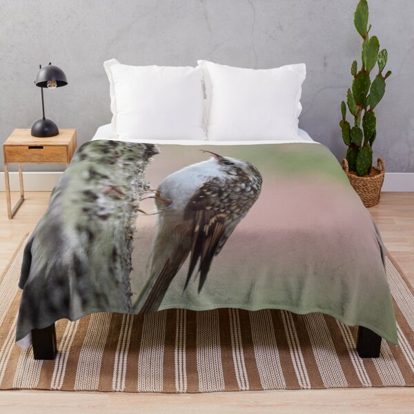 Item preview, Closer meeting. Eurasian treecreeper designed and sold by Jouko Lehto Photography.