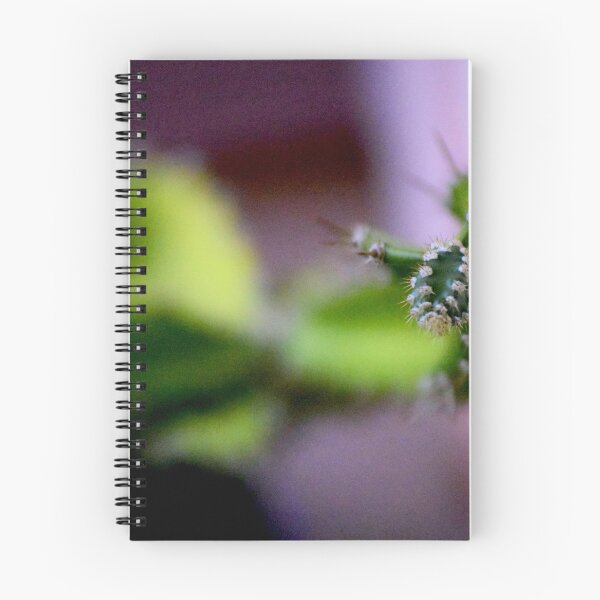 Item preview, Cactus Split  designed and sold by MercerImages.