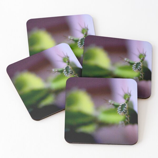 Item preview, Cactus Split  designed and sold by MercerImages.