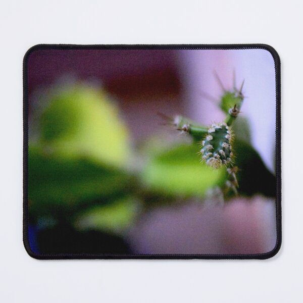 Item preview, Cactus Split  designed and sold by MercerImages.