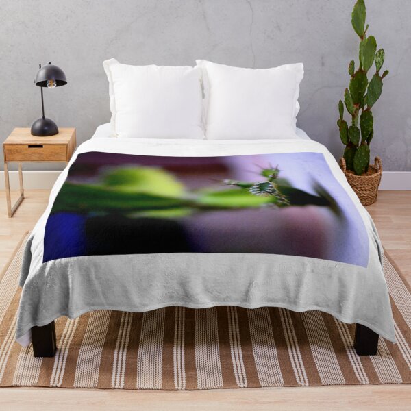 Item preview, Cactus Split  designed and sold by MercerImages.
