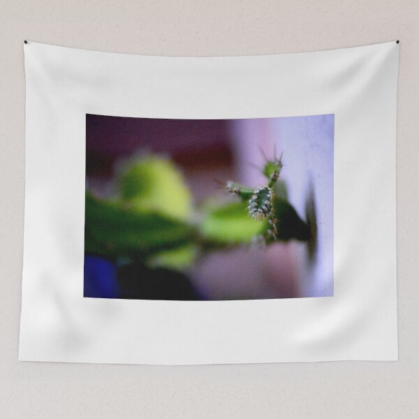 Item preview, Cactus Split  designed and sold by MercerImages.