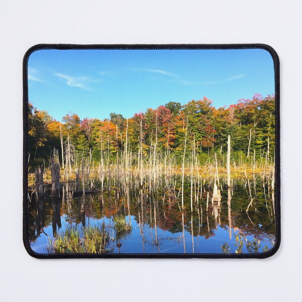 Item preview, Autumn in Canada designed and sold by Topmel.