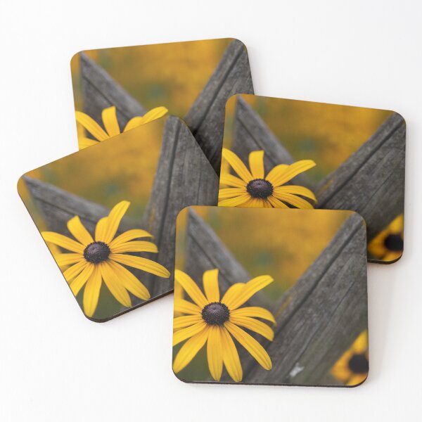 Item preview, Black-eyed Susan designed and sold by Calidris Fotografie Steffi & Ben Köppler.