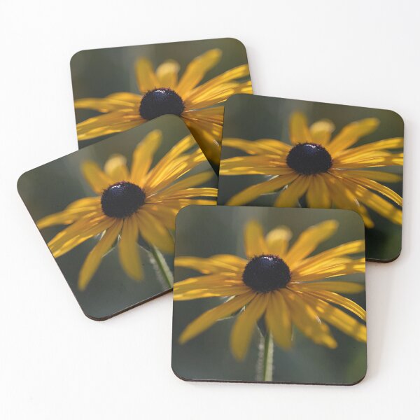 Item preview, Black-eyed Susan designed and sold by Calidris Fotografie Steffi & Ben Köppler.