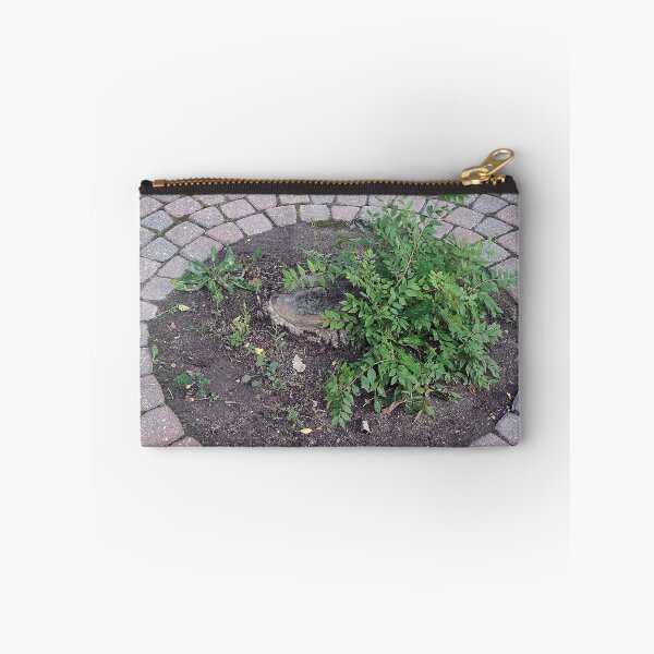 Aperçu de l'œuvre Plantes 1 créée et vendue par Spaghetti13.