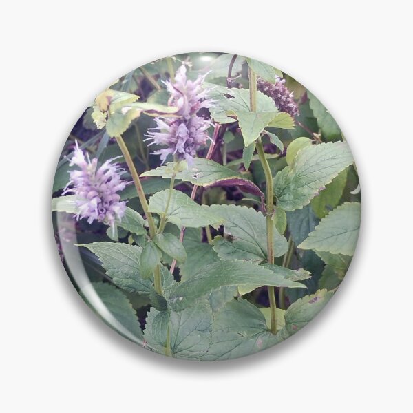 Item preview, Flowers designed and sold by Spaghetti13.
