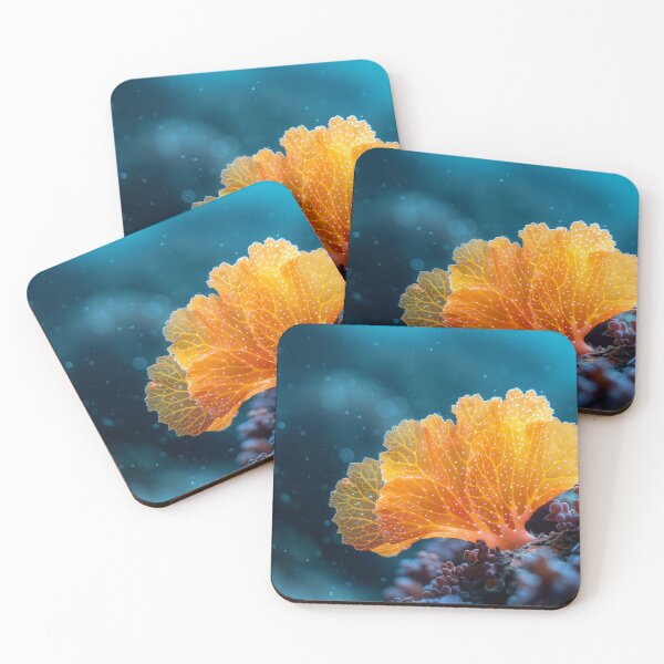 Item preview, Marine - Gorgonian Sea Fan Coral designed and sold by KootenayDesigns.