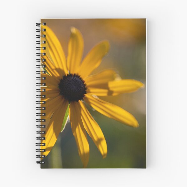 Item preview, Black-eyed Susan designed and sold by Calidris Fotografie Steffi & Ben Köppler.