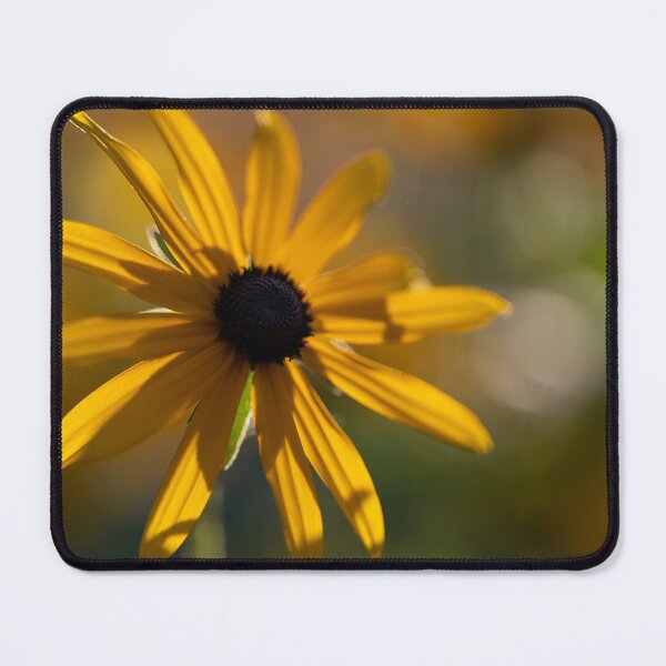 Item preview, Black-eyed Susan designed and sold by Calidris Fotografie Steffi & Ben Köppler.