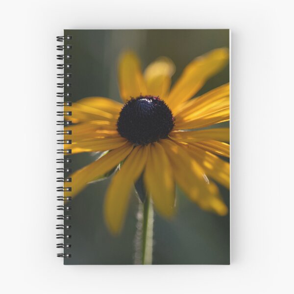 Item preview, Black-eyed Susan designed and sold by Calidris Fotografie Steffi & Ben Köppler.