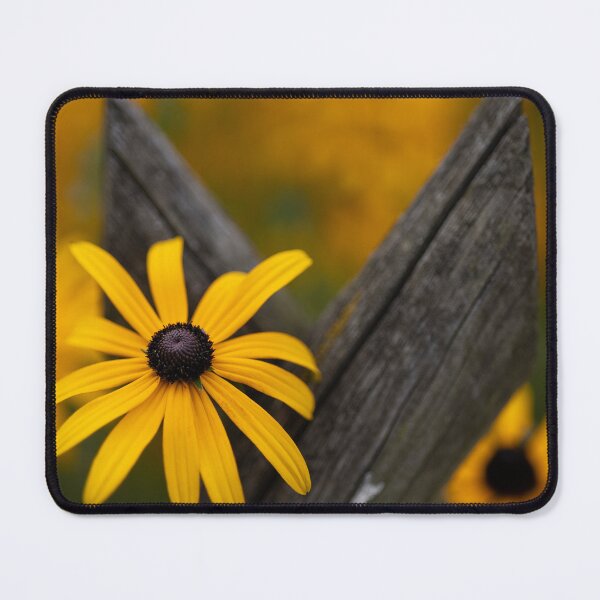 Item preview, Black-eyed Susan designed and sold by Calidris Fotografie Steffi & Ben Köppler.
