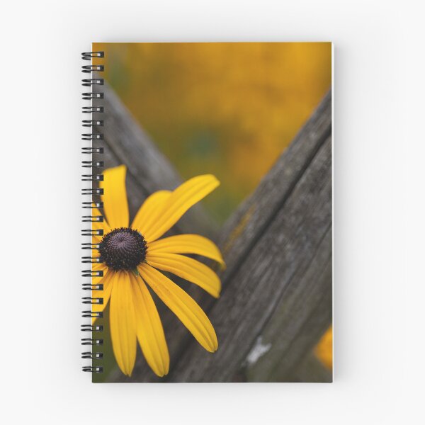 Item preview, Black-eyed Susan designed and sold by Calidris Fotografie Steffi & Ben Köppler.