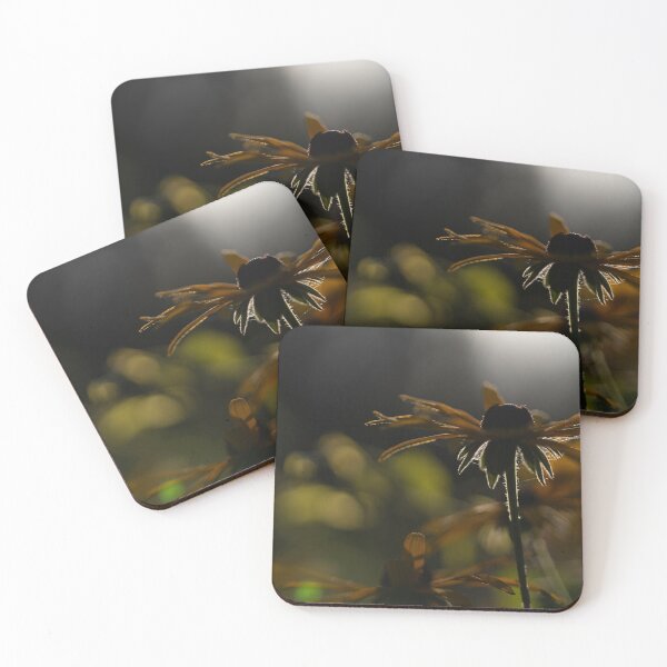 Item preview, Black-eyed Susan designed and sold by Calidris Fotografie Steffi & Ben Köppler.