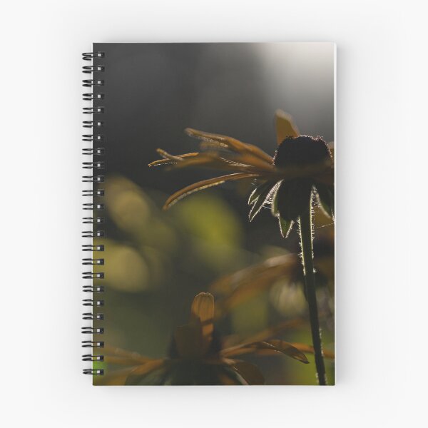 Item preview, Black-eyed Susan designed and sold by Calidris Fotografie Steffi & Ben Köppler.
