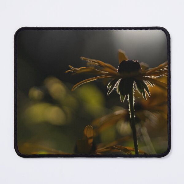 Item preview, Black-eyed Susan designed and sold by Calidris Fotografie Steffi & Ben Köppler.
