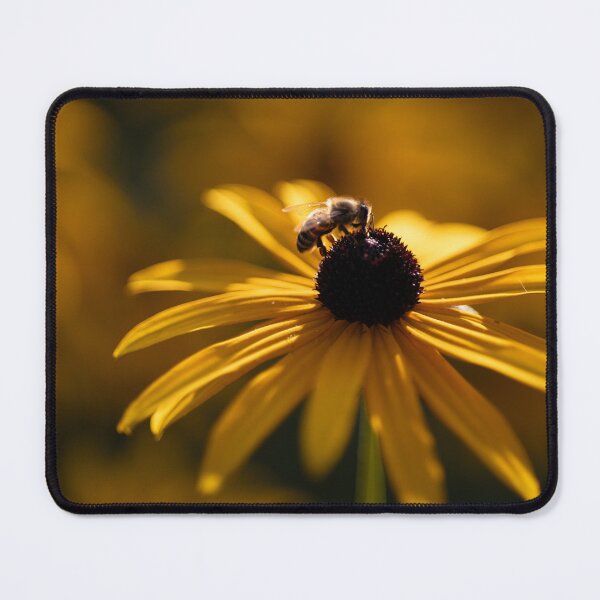 Item preview, Black-eyed Susan designed and sold by Calidris Fotografie Steffi & Ben Köppler.