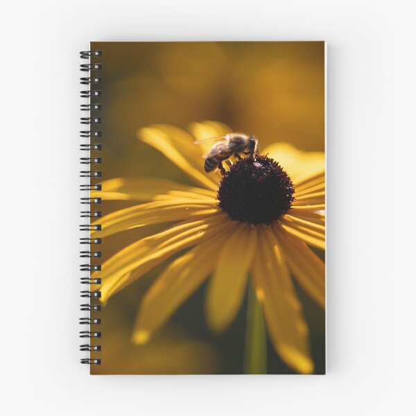 Item preview, Black-eyed Susan designed and sold by Calidris Fotografie Steffi & Ben Köppler.