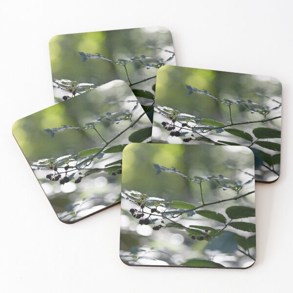 Item preview, Blackberries designed and sold by Calidris Fotografie Steffi & Ben Köppler.