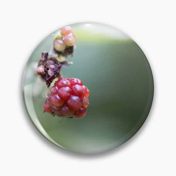 Item preview, Blackberries designed and sold by Calidris Fotografie Steffi & Ben Köppler.