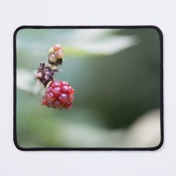 Item preview, Blackberries designed and sold by Calidris Fotografie Steffi & Ben Köppler.