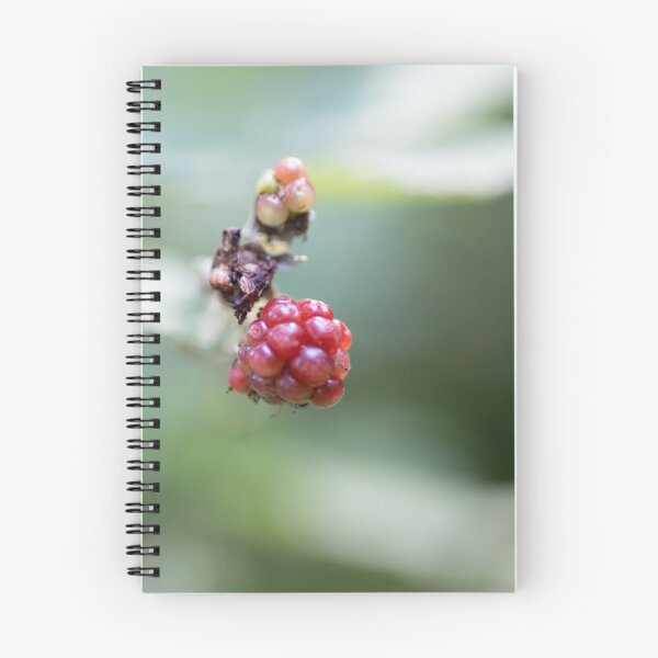 Item preview, Blackberries designed and sold by Calidris Fotografie Steffi & Ben Köppler.