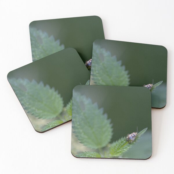 Item preview, Lygus pratensis designed and sold by Calidris Fotografie Steffi & Ben Köppler.