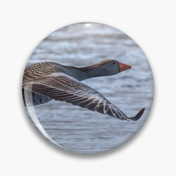 Item preview, Greylag Goose In Flight designed and sold by derekbeattie.