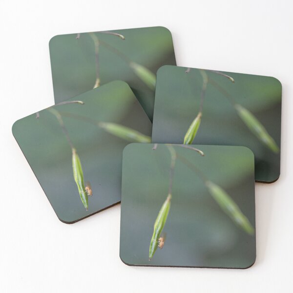 Item preview, Small-flowered touch-me-not designed and sold by Calidris Fotografie Steffi & Ben Köppler.