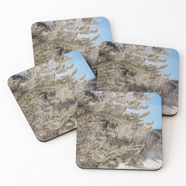 Item preview, Rime Covered Trees with Sunstar Yellowstone National Park 2 designed and sold by PhotoArt by Joan Carroll.