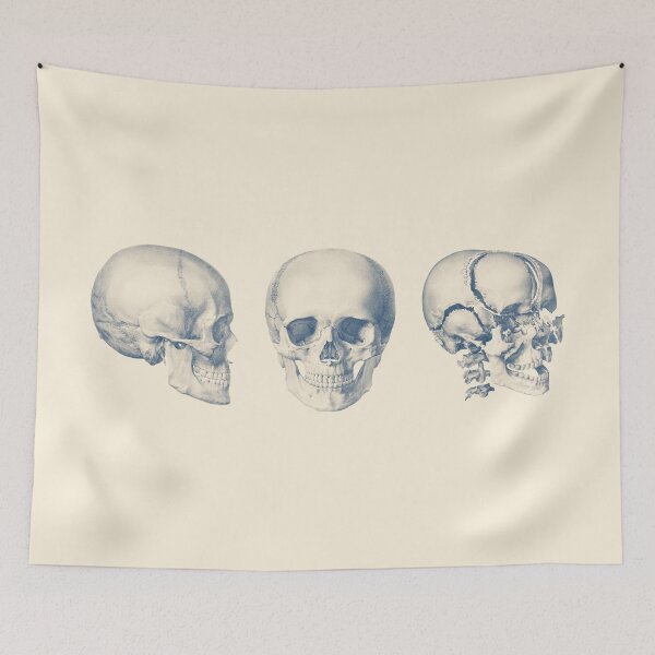 Item preview, Human Skull - Multi-View - Anatomy Poster designed and sold by VAposters.