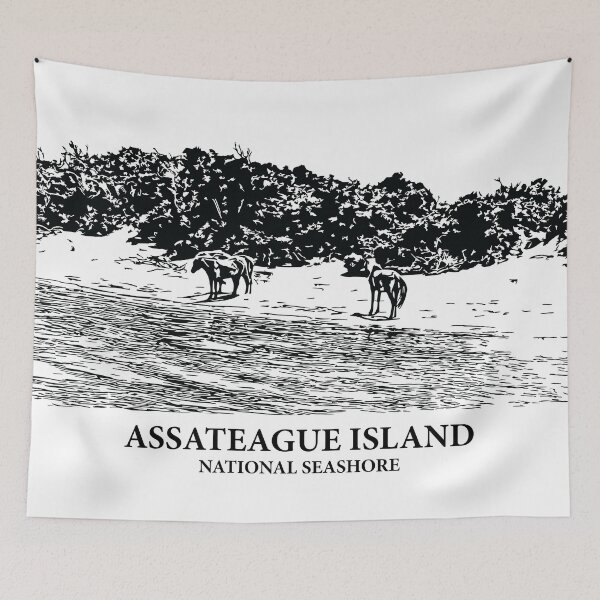 Item preview, Assateague Island National Seashore designed and sold by Lakeric Cityscapes.