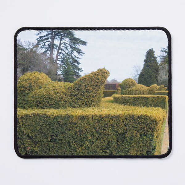 Item preview, Blenheim Palace Chicken Hedge designed and sold by Thomas Halouva.