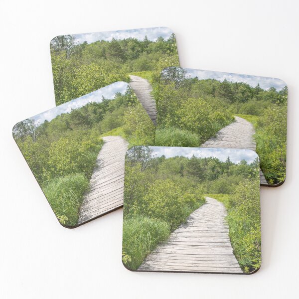 Item preview, Boardwalk at Petroglyphs Provincial Park, Ontario designed and sold by jrtwynam.
