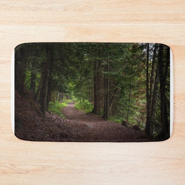 Item preview, Path at Egan Chutes Provincial Park, Ontario designed and sold by jrtwynam.