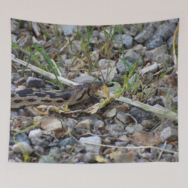 Item preview, My Nemesis II - Gopher Snake designed and sold by Len Bomba.
