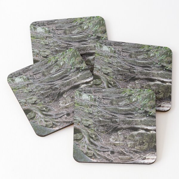 Item preview, great wave of roots designed and sold by distracted.