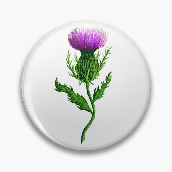 Item preview, Thistle designed and sold by EmeraldandMain.