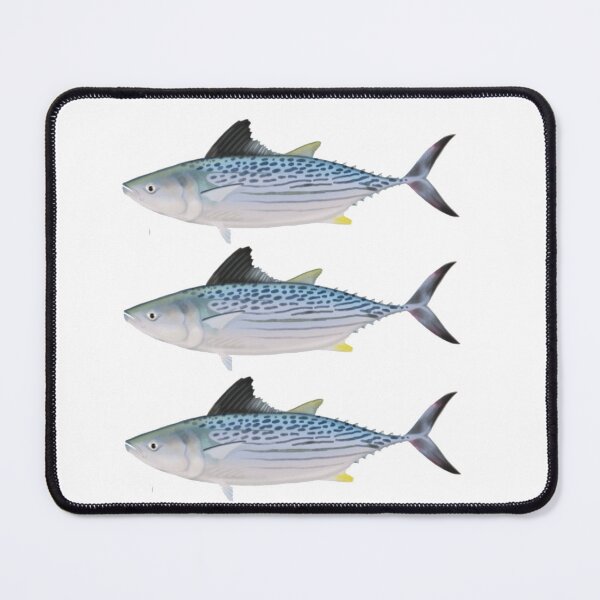 Item preview, Bonito - Pelagic Fish designed and sold by Reelyfishing.