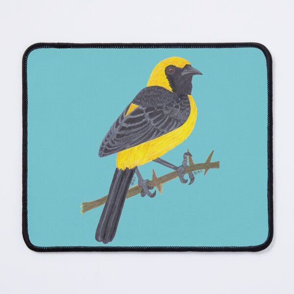 Item preview, HOODED ORIOLE designed and sold by BeritValk.