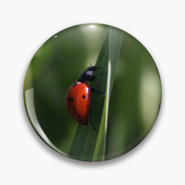 Item preview, Ladybug designed and sold by Cathy L. Gregg.