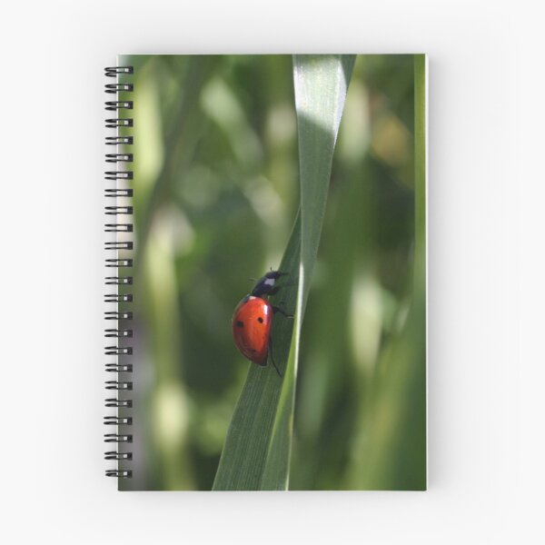 Item preview, Ladybug designed and sold by Cathy L. Gregg.