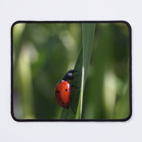 Item preview, Ladybug designed and sold by Cathy L. Gregg.