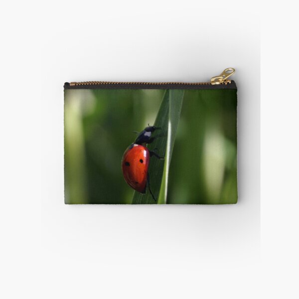 Item preview, Ladybug designed and sold by Cathy L. Gregg.
