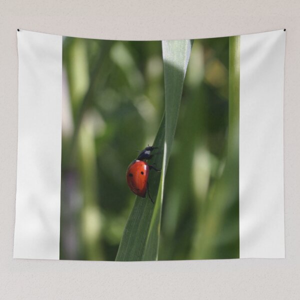 Item preview, Ladybug designed and sold by Cathy L. Gregg.