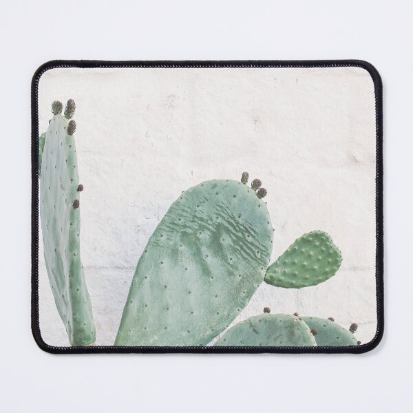Item preview, Puglia, Italy I Cactus Angel wings wild boho green in front of white wall with Italian architecture with minimalist geometric travel photography in retro vintage summer pastel dolce vita aesthetic designed and sold by Julie Travel Photography.