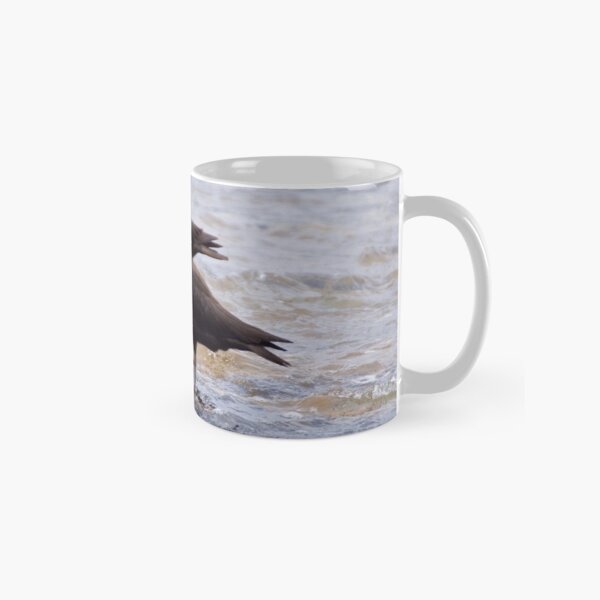 SHOREBIRD ~ Sooty Oystercatcher by David Irwin Classic Mug